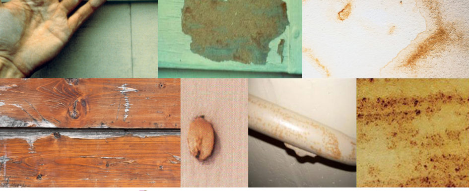 Identify and Solve Stains and Discoloration on Paint